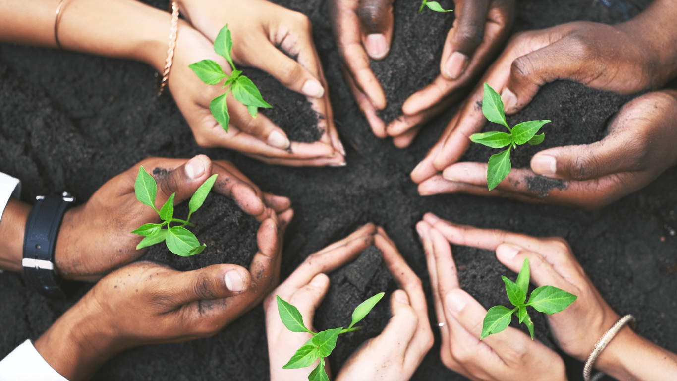 sustainability