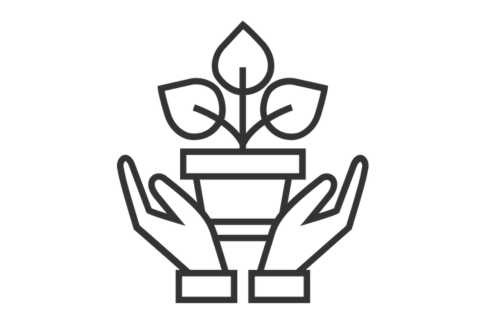five-promises-grow